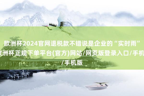 欧洲杯2024官网退税款不错说是企业的“实时雨”-欧洲杯正规下单平台(官方)网站/网页版登录入口/手机版