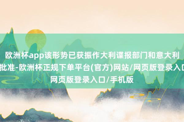 欧洲杯app该形势已获振作大利谍报部门和意大利国防部的批准-欧洲杯正规下单平台(官方)网站/网页版登录入口/手机版