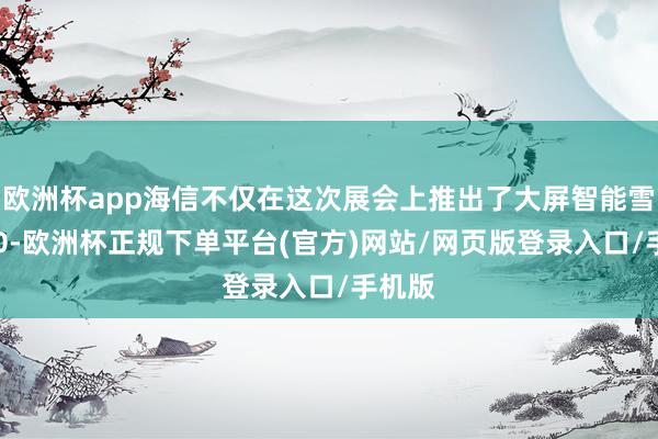 欧洲杯app海信不仅在这次展会上推出了大屏智能雪柜780-欧洲杯正规下单平台(官方)网站/网页版登录入口/手机版