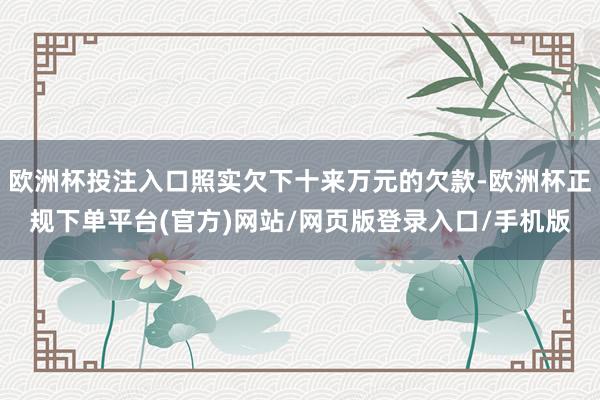 欧洲杯投注入口照实欠下十来万元的欠款-欧洲杯正规下单平台(官方)网站/网页版登录入口/手机版