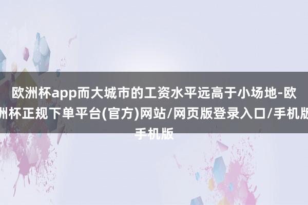欧洲杯app而大城市的工资水平远高于小场地-欧洲杯正规下单平台(官方)网站/网页版登录入口/手机版