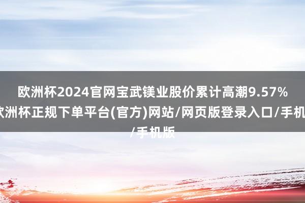 欧洲杯2024官网宝武镁业股价累计高潮9.57%-欧洲杯正规下单平台(官方)网站/网页版登录入口/手机版