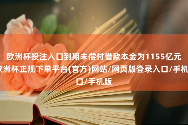 欧洲杯投注入口到期未偿付借款本金为1155亿元-欧洲杯正规下单平台(官方)网站/网页版登录入口/手机版