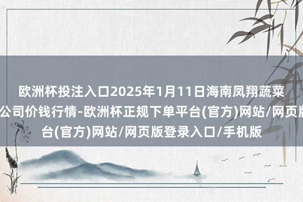 欧洲杯投注入口2025年1月11日海南凤翔蔬菜批发商场科罚有限公司价钱行情-欧洲杯正规下单平台(官方)网站/网页版登录入口/手机版