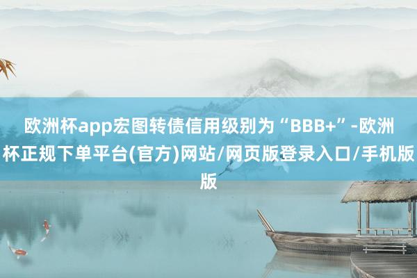 欧洲杯app宏图转债信用级别为“BBB+”-欧洲杯正规下单平台(官方)网站/网页版登录入口/手机版