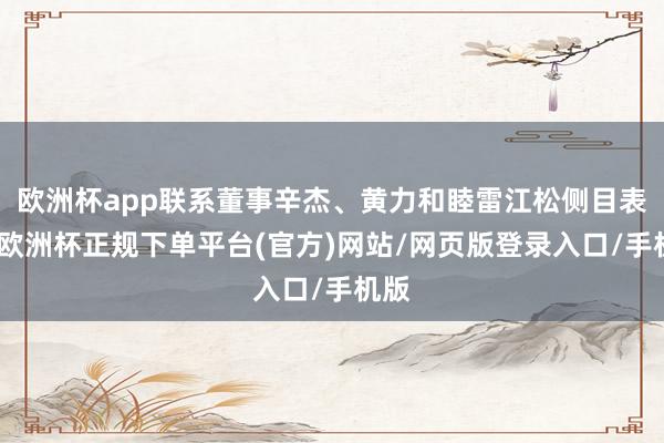 欧洲杯app联系董事辛杰、黄力和睦雷江松侧目表决-欧洲杯正规下单平台(官方)网站/网页版登录入口/手机版