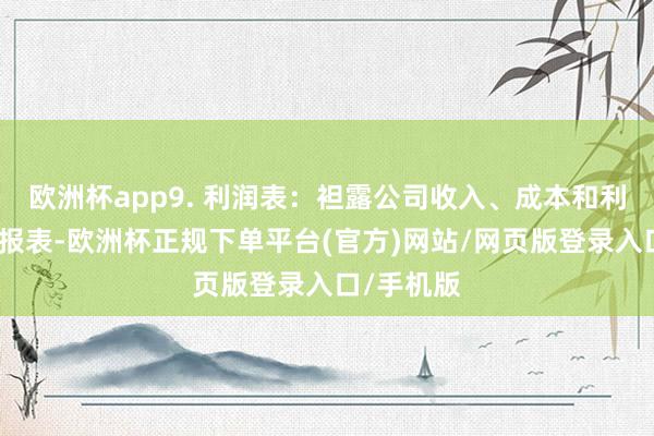 欧洲杯app9. 利润表:袒露公司收入、成本和利润的财务报表-欧洲杯正规下单平台(官方)网站/网页版登录入口/手机版