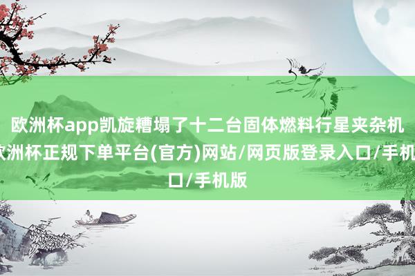 欧洲杯app凯旋糟塌了十二台固体燃料行星夹杂机-欧洲杯正规下单平台(官方)网站/网页版登录入口/手机版