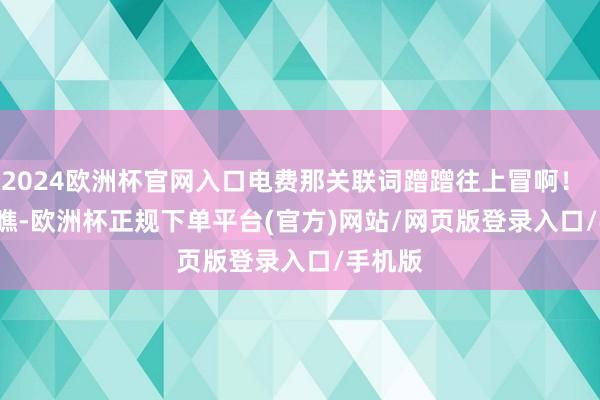2024欧洲杯官网入口电费那关联词蹭蹭往上冒啊！        瞧瞧-欧洲杯正规下单平台(官方)网站/网页版登录入口/手机版