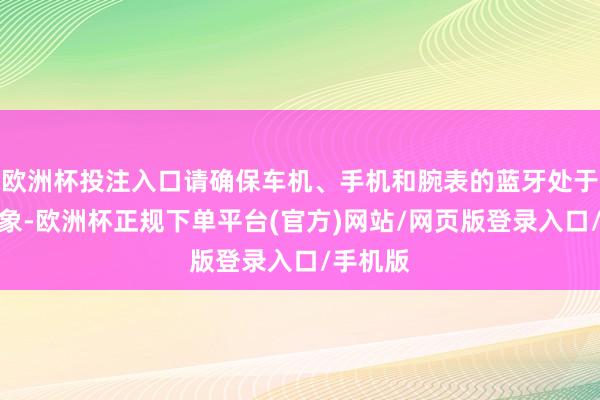 欧洲杯投注入口请确保车机、手机和腕表的蓝牙处于开启景象-欧洲杯正规下单平台(官方)网站/网页版登录入口/手机版